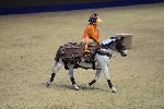 Quadrille - 00049